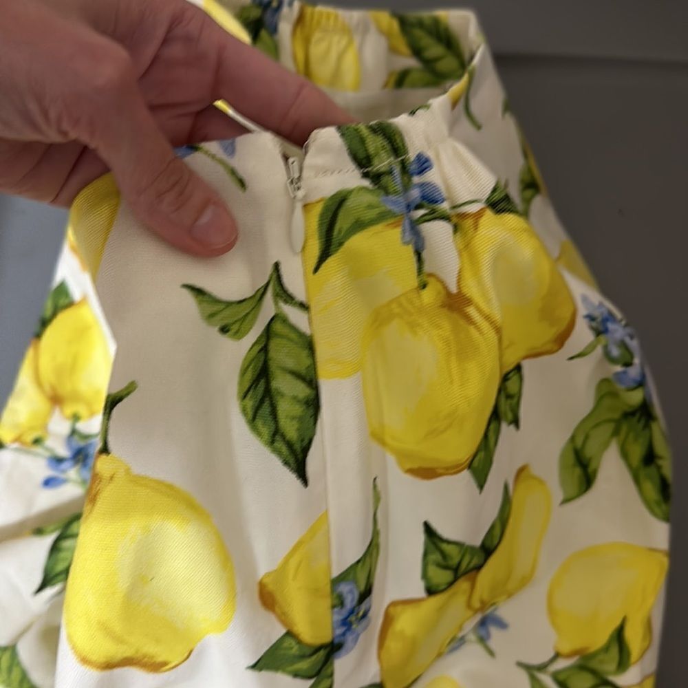 NWT Talbots Lemon Skirt - Picture 5 of 8
